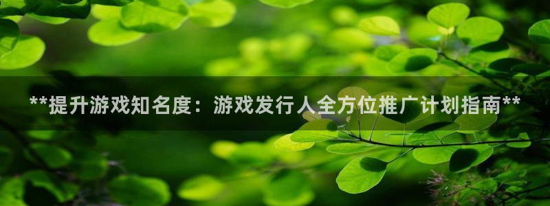 顺盈娱乐平台注册流程图片高清：**提升游戏知名度：游戏发行人全方位推广计划指南**