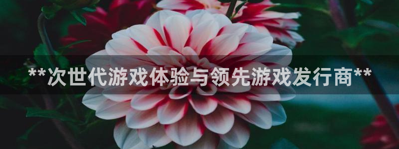 顺盈娱乐扣款怎么回事：**次世代游戏体验与领先游戏发行商**