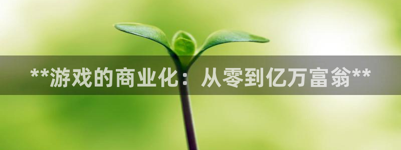 顺盈娱乐登录平台是什么平台呀：**游戏的商业化：从零到亿万富翁**