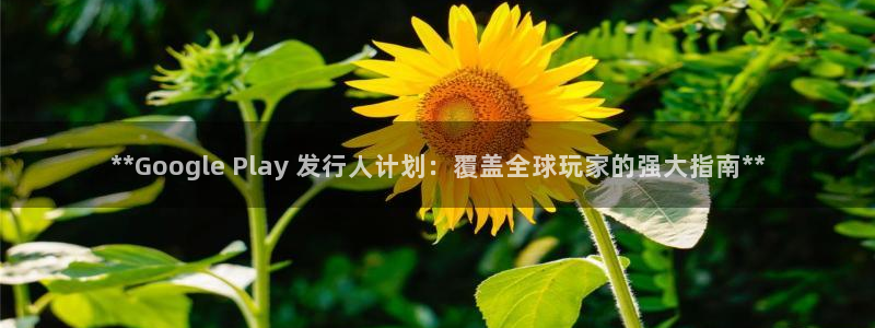 顺赢商贸有限公司：**Google Play 发行人计划：覆盖全球玩家的强大指南**