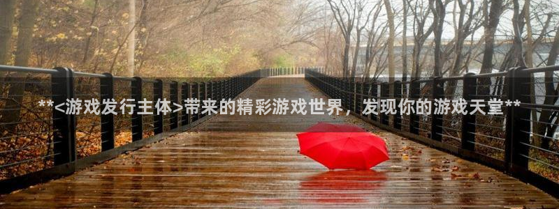 顺盈app是什么东西：**<游戏发行主体>带来的精彩游戏世界，发现你的游戏天堂**