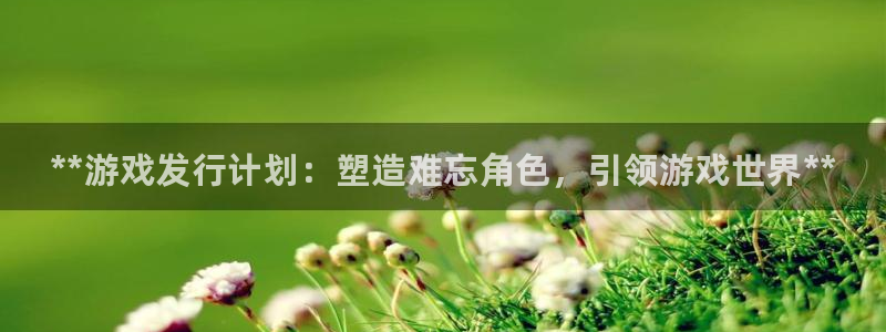 顺盈娱乐平台提现被关闭怎么回事呀：**游戏发行计划：塑造难忘角色，引领游戏世界**