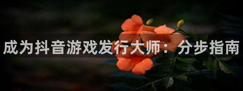 顺盈娱乐官网首页入口：成为抖音游戏发行大师：分步指南