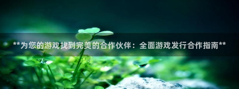 顺盈娱乐登录平台下载：**为您的游戏找到完美的合作伙伴：全面游戏发行合作指南**