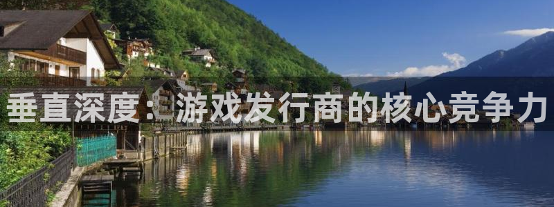 顺盈娱乐登录平台是什么：垂直深度：游戏发行商的核心竞争力