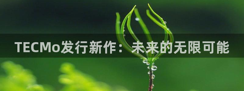 顺盈网络科技有限公司怎么样