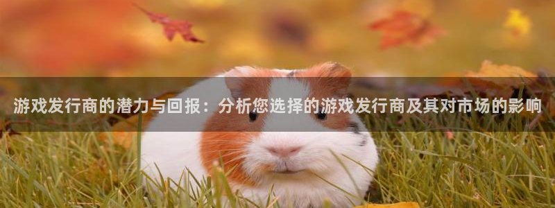 顺盈娱乐扣款成功了吗怎么查：游戏发行商的潜力与回报：分析您选择的游戏发行商及其对市场的影响