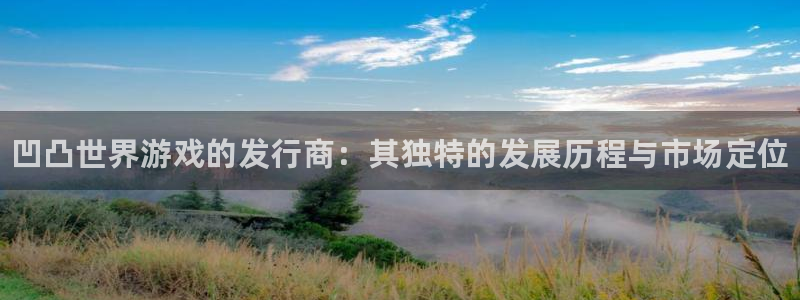 顺盈平台开户：凹凸世界游戏的发行商：其独特的发展历程与市场定位