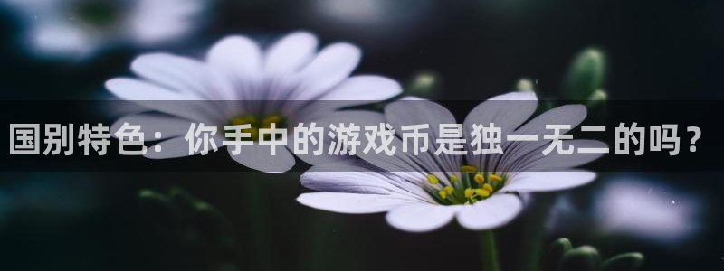 顺盈娱乐公司介绍怎么写：国别特色：你手中的游戏币是独一无二的吗？