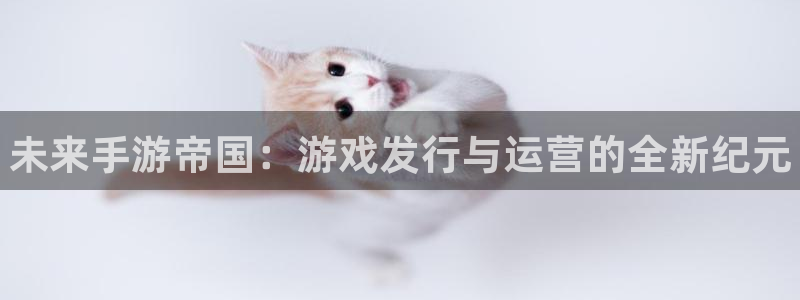 顺盈娱乐眠4o14O使用评测与反馈：未来手游帝国：游戏发行与运营的全新纪元