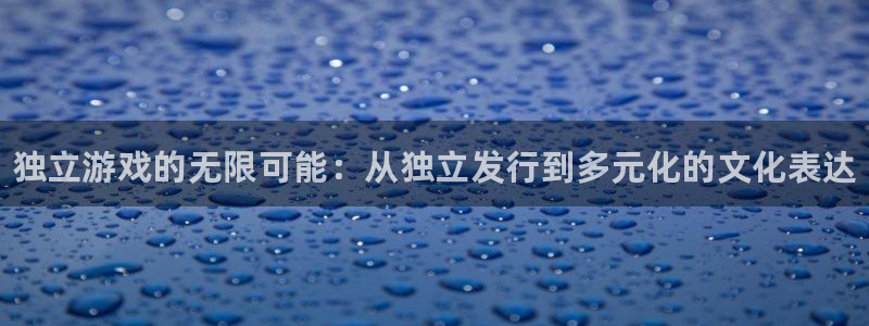 顺盈娱乐平台注册流程视频下载：独立游戏的无限可能：从独立发行到多元化的文化表达