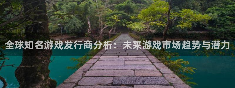 顺盈娱乐平台提现被关闭怎么回事儿：全球知名游戏发行商分析：未来游戏市场趋势与潜力