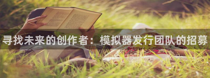 顺盈平台注册地址在哪里：寻找未来的创作者：模拟器发行团队的招募