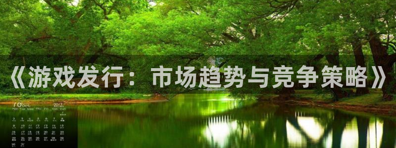 顺盈娱乐平台注册流程图片：《游戏发行：市场趋势与竞争策略》