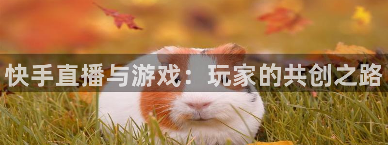 顺盈娱乐扣款成功了吗现在：快手直播与游戏：玩家的共创之路