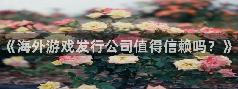 顺盈注册：《海外游戏发行公司值得信赖吗？》
