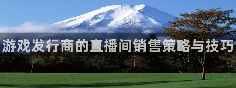 顺赢国际游戏：游戏发行商的直播间销售策略与技巧