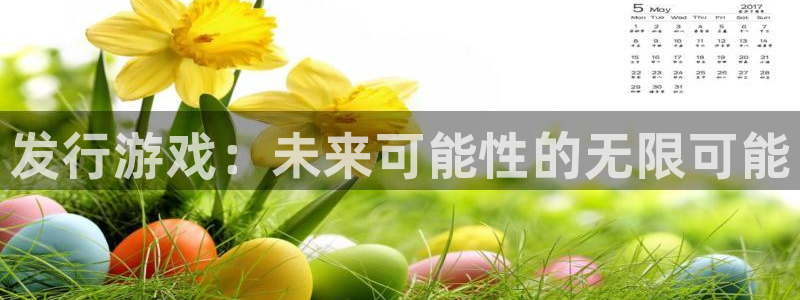 顺盈娱乐公司介绍图片大全：发行游戏：未来可能性的无限可能