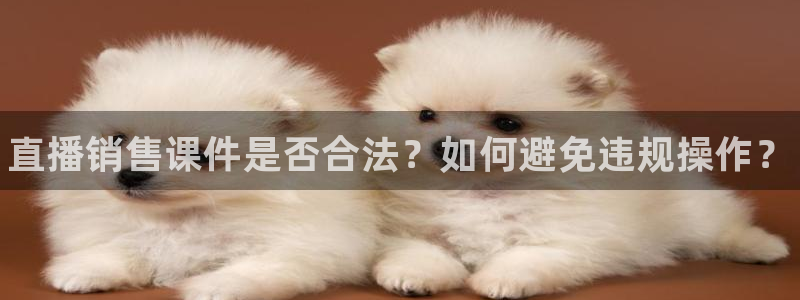 顺盈娱乐用什么加速器可以登录账号