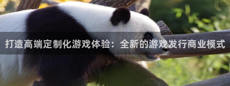 顺盈平台在线注册：打造高端定制化游戏体验：全新的游戏发行商业模式
