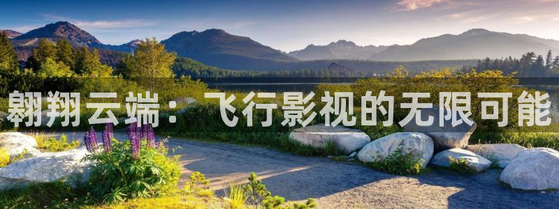 亚洲aa影院