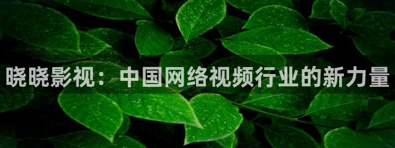 欧美aaa片电影：晓晓影视：中国网络视频行业的新力量