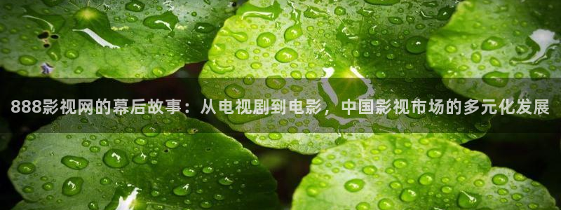 aa不卡毛片