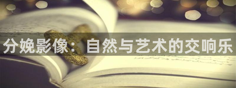 欧美aaav电影：分娩影像：自然与艺术的交响乐