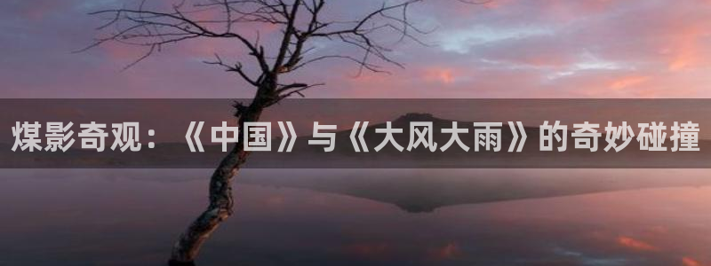 欧美aaav电影：煤影奇观：《中国》与《大风大雨》的奇妙碰撞