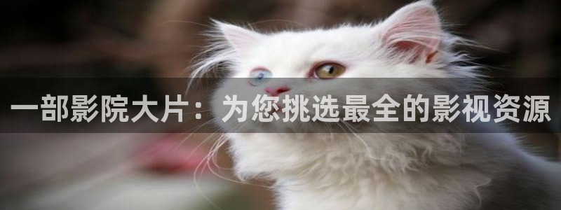 午夜影院先aaa：一部影院大片：为您挑选最全的影视资源