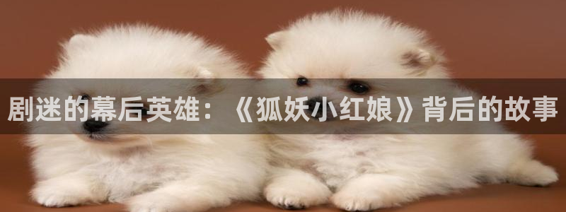 欧美aaa片电影：剧迷的幕后英雄：《狐妖小红娘》背后的故事