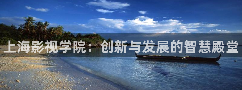 欧美aaaaaa免费电影：上海影视学院：创新与发展的智慧殿堂