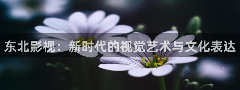 午夜影院先aaa：东北影视：新时代的视觉艺术与文化表达