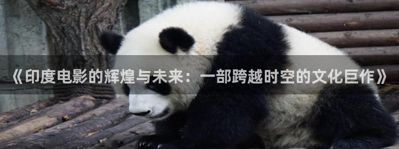 神马影院aaa：《印度电影的辉煌与未来：一部跨越时空的文化巨作》